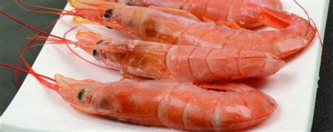 红虾不能和什么一起吃 红虾不能和什么食物同吃_知秀网