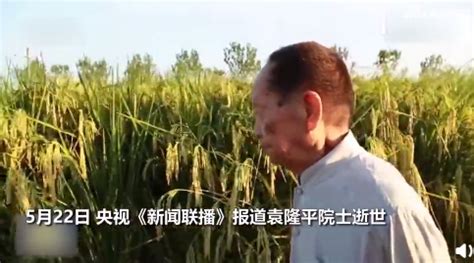 青岛：袁隆平青岛海水稻研发团队2022年第一批水稻播种_图说_中国山东网