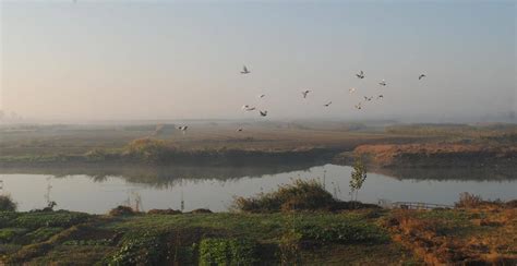 流经湖北的汉江，920公里都是风景_湿地