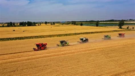 全国“三夏”麦收进度过半 | 0xu.cn