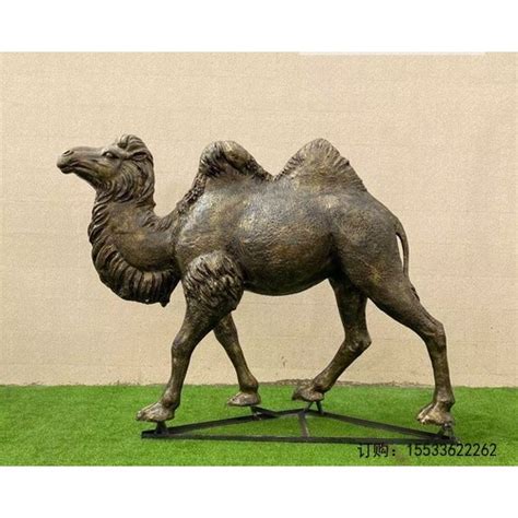 骆驼铜雕-黄铜铸造、玻璃钢仿铜骆驼雕塑