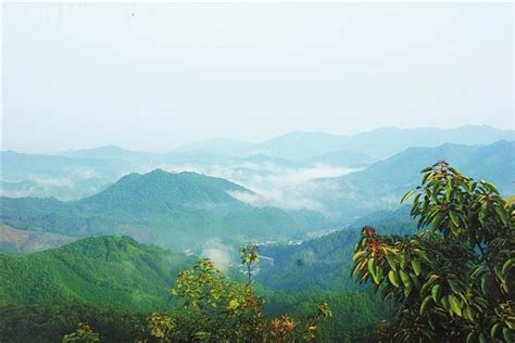 江西赣州信丰县四个值得一去的旅游景点，喜欢的不要错过了