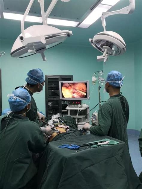 我院泌尿外科首次独立完成经腹腔镜肾切除术