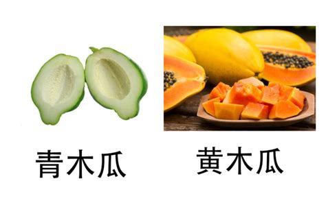 青木瓜和黄木瓜的区别是什么-百度经验