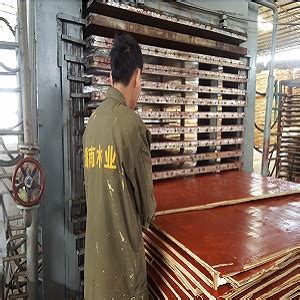 广西木模板厂家-全一级整芯建筑板-贵港景和木业 - 景和木业 - 九正建材网