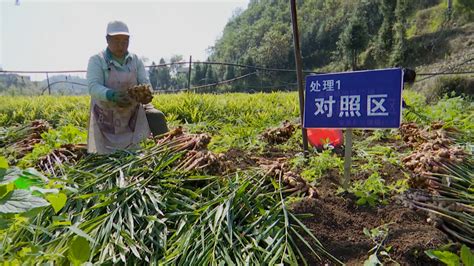 贵州安龙：东西部扶贫协作项目建设顺利推进