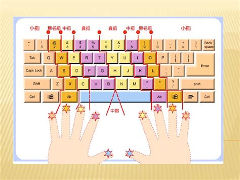 新手篇-认识键盘 - 在线打字测试(打字狗 dazigo.vip)