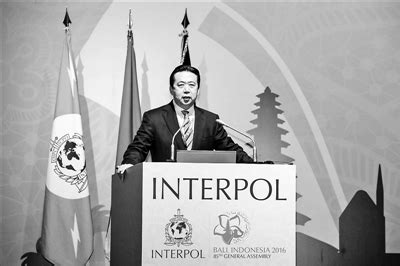 国际刑警(Interpol)-电视剧-腾讯视频