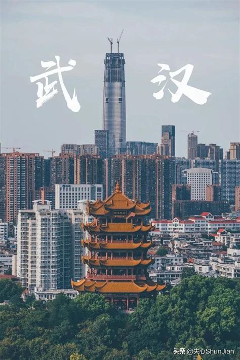 武汉市GDP、GDP历年数据、人均GDP、人口普查、年鉴统计等多指标数据_鸥维数据