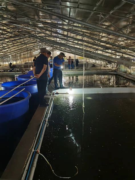 盐城市农业农村局 工作动态 市水产站到射阳调研指导水产苗种生产