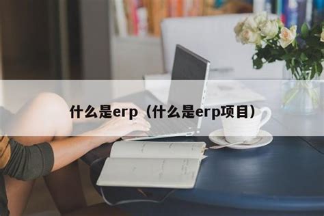 什么是ERP？_上海虹点智能科技有限公司