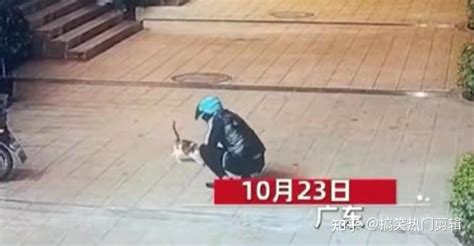 男子骑车拖行小猫致死，警方：相关部门处理中，后续会通报_凤凰网视频_凤凰网