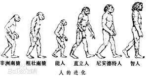人类进化设计图__其他_动漫动画_设计图库_昵图网nipic.com