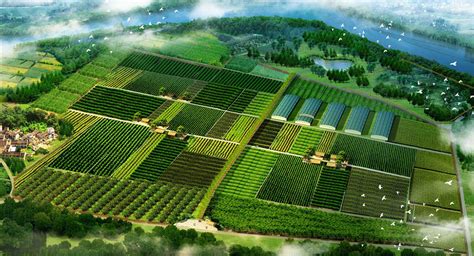 2022年扶沟县5.96万亩高标准农田示范园区项目3标段_工程案例_河南乐泰建筑工程有限公司