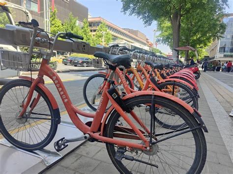 公共自行车“春节不打烊” - 西部网（陕西新闻网）
