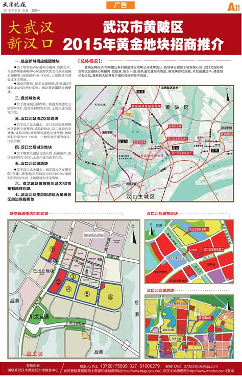 武汉市黄陂区17个项目集中开工 总投资46亿元_手机新浪网