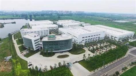 三棵树拟在上海再设总部，借“双总部”架构助力全球化战略 - 涂界-中国涂料工业第一家财经类门户网