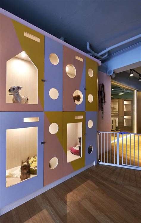 北京·“Noblepets诺宝派”宠物店升级改造设计 | SOHO设计区