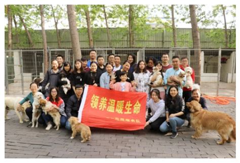 中国首家零盈利纯公益hello阿派连锁动物领养中心三店同步开业！