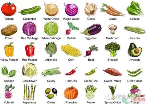 常见蔬菜图片及名称_常见蔬菜名称大全有图 - 随意云