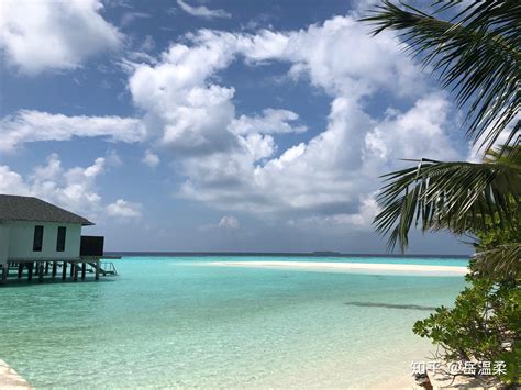 马尔代夫,大海,天空,棕榈树,平房,4K风景壁纸_4K风景图片高清壁纸 - 墨鱼部落格