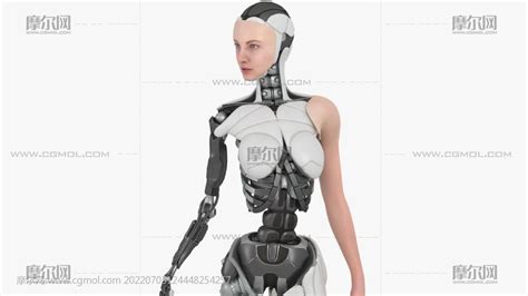 半机械女孩,半机器人,女机器人ue模型(网盘下载)_科幻角色模型下载-摩尔网CGMOL
