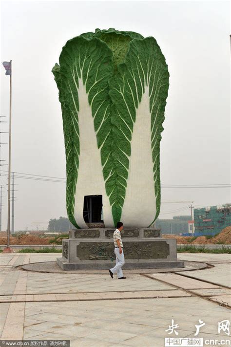 巨型“白菜”雕塑亮相山东聊城——人民政协网