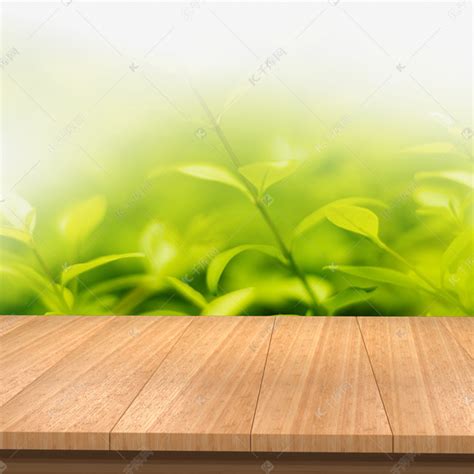 植物木板背景素材图片免费下载-千库网