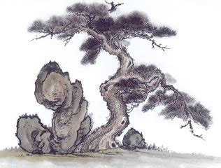 描写松树的古诗