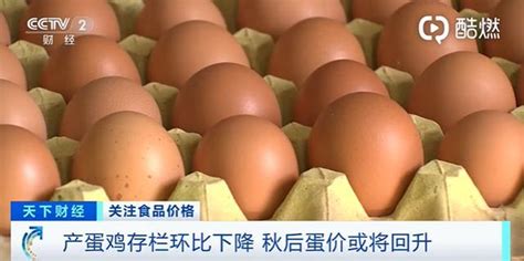 鸡蛋价格半年降近3成 和哪些因素有关？_中国网