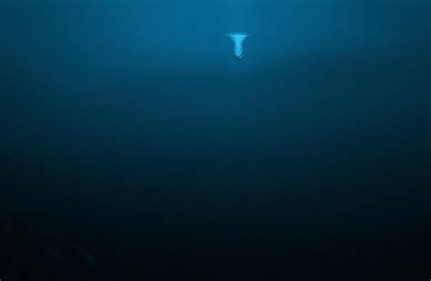 海底9万米有多恐怖 大西洋海底有多恐怖