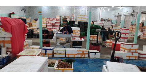 食材配送自动分拣系统厂商「深圳市润方科技供应」 - 数字营销企业