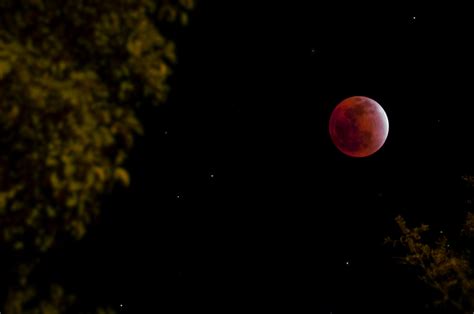 就在今天，超级红月亮+月全食！错过再等一年|月球|地球_新浪新闻