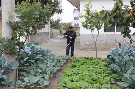 “小菜园”里的大智慧——马鞍山新闻网