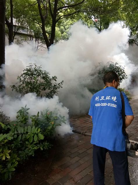 在上海，为什么要找专业的杀虫公司进行杀虫？