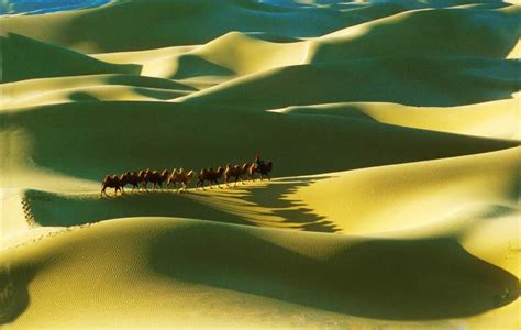 大漠风情图片_旅游摄影_自然景观-图行天下素材网