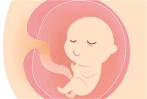 如何预防胎儿畸形？畸形胎儿是什么原因引起的？ - 知乎