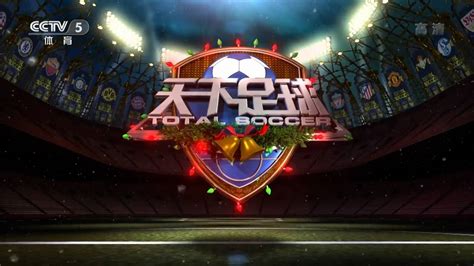 CCTV5评选近25年中国球员10佳球-直播吧zhibo8.cc
