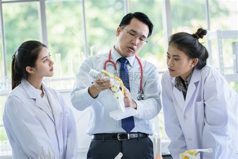 亚洲教师在实验室里向学生教授科学和解剖学高清图片下载-正版图片504055601-摄图网