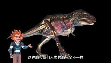 第03集 恐龙之王：霸王龙的诞生_高清1080P在线观看平台_腾讯视频