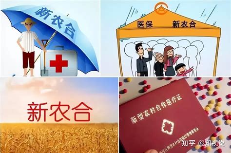 医疗保险多少钱一年（2022年新农合标准开始确定） - 深圳信息港
