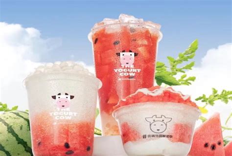 「一只酸奶牛」推出酸奶绵绵冰系列：桂花酿酸奶绵绵冰、多肉酸奶绵绵冰-FoodTalks