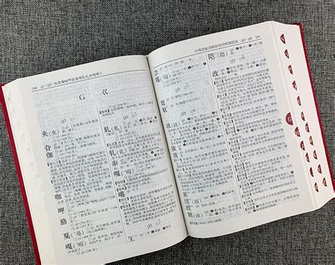 《新华词典-大字本》 - 淘书团