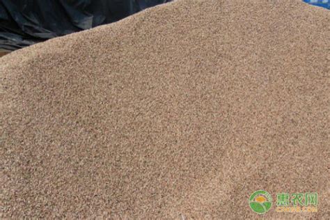 沙子多少钱一吨，沙子作用和沙子价格介绍-中国木业网