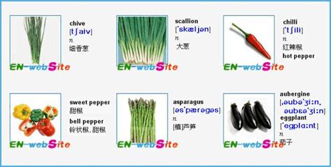 常见各种蔬菜英文名称-图文_word文档在线阅读与下载_无忧文档