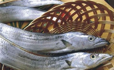 刀鱼的做法,刀鱼价格,刀鱼外形特征,刀鱼的营养价值_齐家网