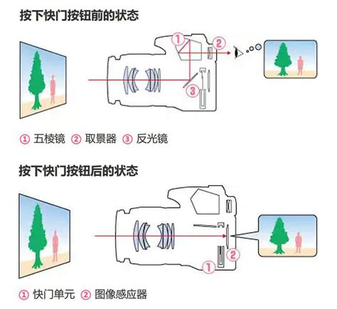 2021年 值得购买的单反相机推荐&微单相机推荐 单反、微单的区别有哪些？(新手入门必读) - 知乎