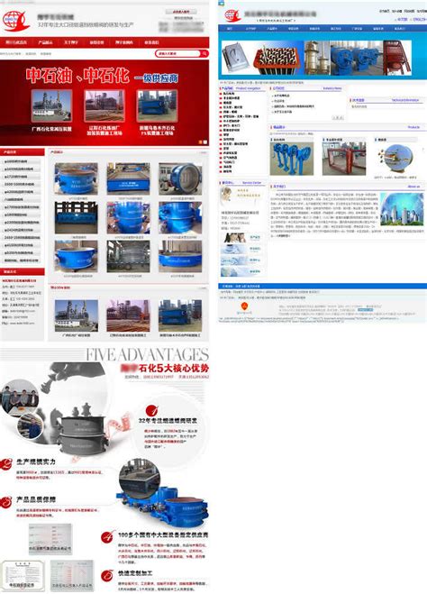北京国专知识产权有限责任公司网站改版上线