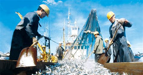 中国远洋渔业：高品质天然健康食品的输送链