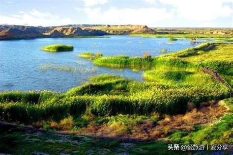 宁夏银川：湿地公园秋意浓-人民图片网